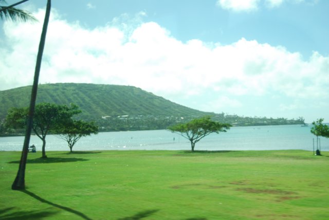 photo14.jpg