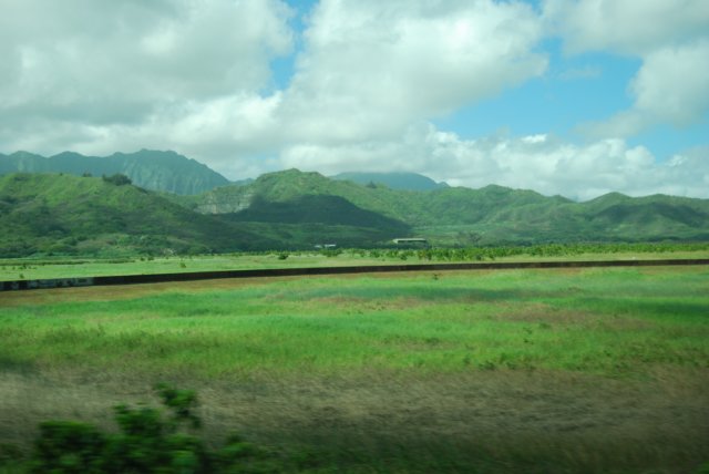 photo21.jpg
